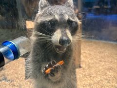 -常州海昌海洋探索馆