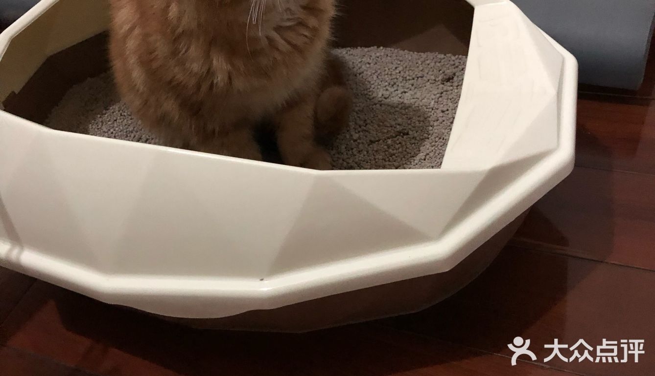 刚点了杯果茶真的非常好喝，跟几个朋友一起的