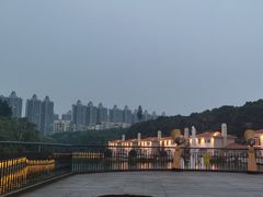 -圣爵菲斯大酒店(长沙世界之窗店)