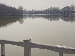 -塘沽森林公园