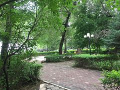 -黑龙江中医药大学