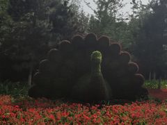 -长白岛森林公园