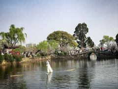 -无锡蠡湖国家湿地公园-蠡园
