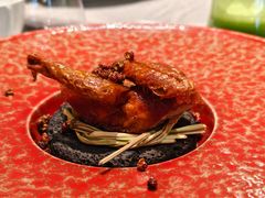 -南堂馆·新川菜(春熙路店)