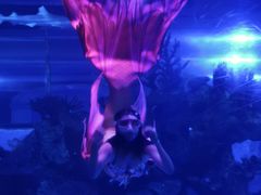 -成都浩海立方海洋公园