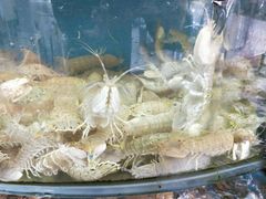 -渔中舟海鲜大排档(普陀沈家门店)
