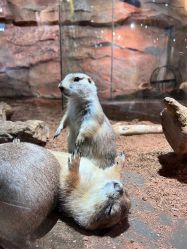 -Zoolung Zoolung动物主题公园(海信广场店)