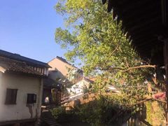 -阿东农家菜(新场古镇下塘街店)