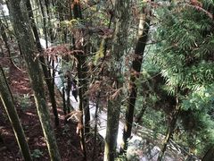 -全国青少年井冈山革命传统教育基地