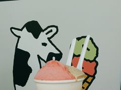 -Dip in Gelato(富民路店)
