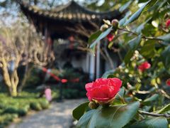 -郭庄景区