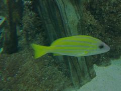 -福州罗源湾海洋世界旅游区