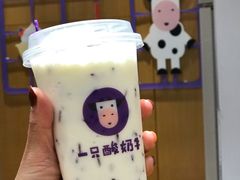-一只酸奶牛(八一路店)