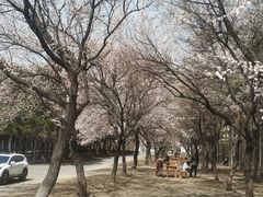 -吉林大学(南岭校区)