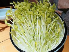 有机豆苗-洪氏嗨捞·广东猪肚鸡·椰子鸡火锅(西咸万象城店)