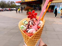 -无锡动物园·太湖欢乐园