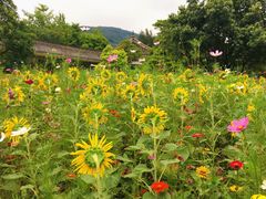 景点-乌石塘景区