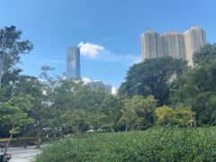 -九龙公园