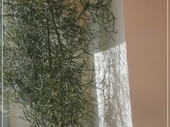 -宴南庭·闽味私房菜