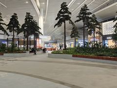 -青岛胶东国际机场