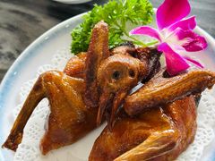 -鸽鸟轩(石岐店)