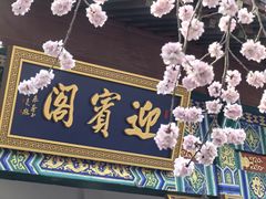 -桃花堤公园