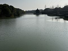 -八大山人梅湖景区