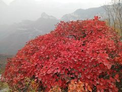 -神农山景区
