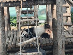 -大连森林动物园