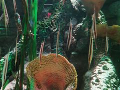 -沈阳海洋探索中心