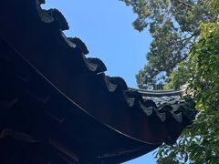 -东山雕花楼