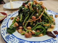 老醋菠菜-协顺园回头馆(南顺城路店)