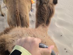 -库伦旗银沙湾旅游景区