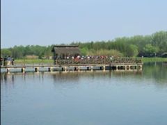 -溱湖国家湿地公园