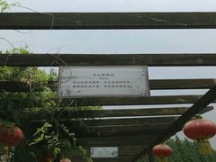 -东山香樟园