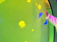 -福州罗源湾海洋世界旅游区