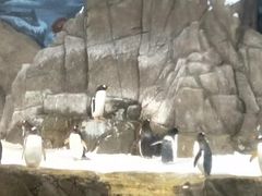 -成都浩海立方海洋公园