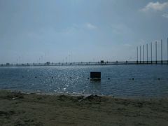 -碧海金沙