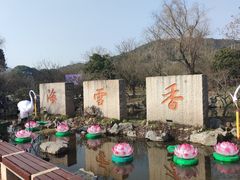 -香雪海