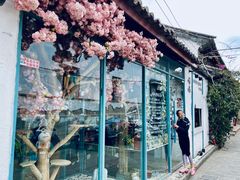 -喵屿·大理花园猫咖