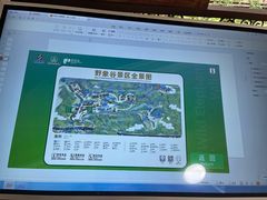 -野象谷景区