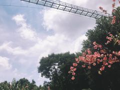 -木兰云雾山