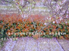-木渎影视城