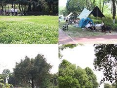 -成都泰迪熊博物馆