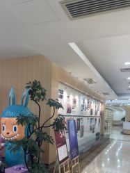 -上海伊莱美医疗美容医院