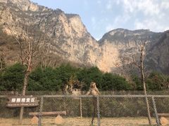 -云台山风景名胜区