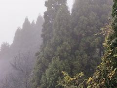 -井冈山风景名胜区