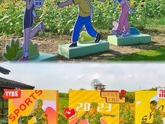 -杭州湾海上花田景区