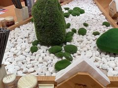 -深圳龙华星河COCO City(民治店)