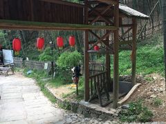 -宁波浙东大竹海景区